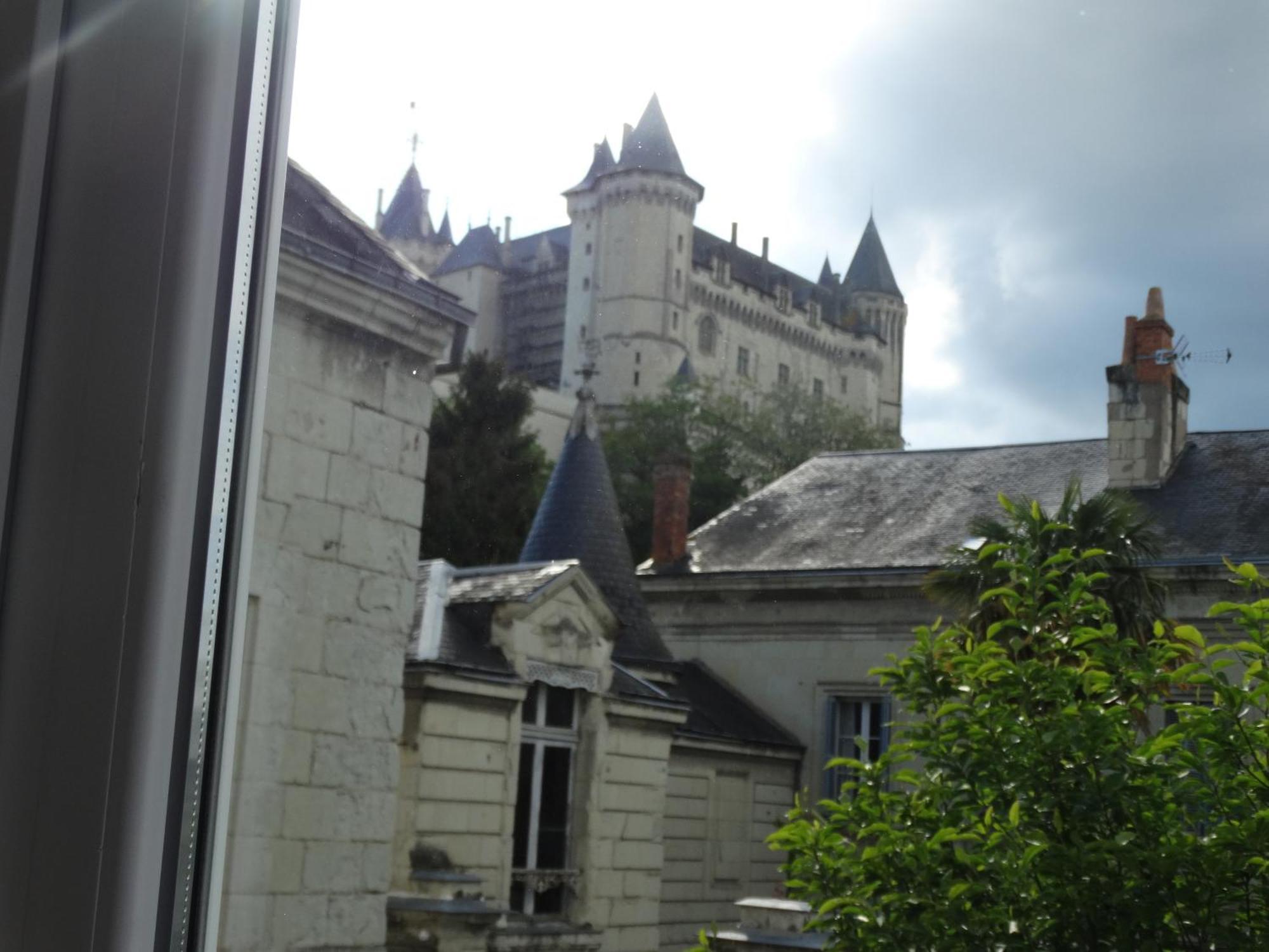 Vue Sur Chateau Et Loire Сомюр Екстер'єр фото